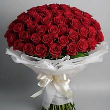 Букет 101 Красная роза Блэк Мэджик в Восточном Забайкальского края