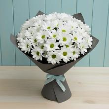 Букет цветов из:  Хризантемы в Восточном Забайкальского края