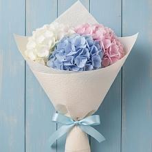 Букет цветов из:  Гортензия #REPLACE_PRED# Восточном Забайкальского края