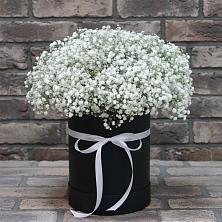 Цветочная композиция из Гипсофила в шляпной коробке в Восточном Забайкальского края