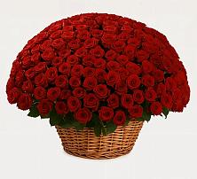 Премиум букет из: Розы в Восточном Забайкальского края